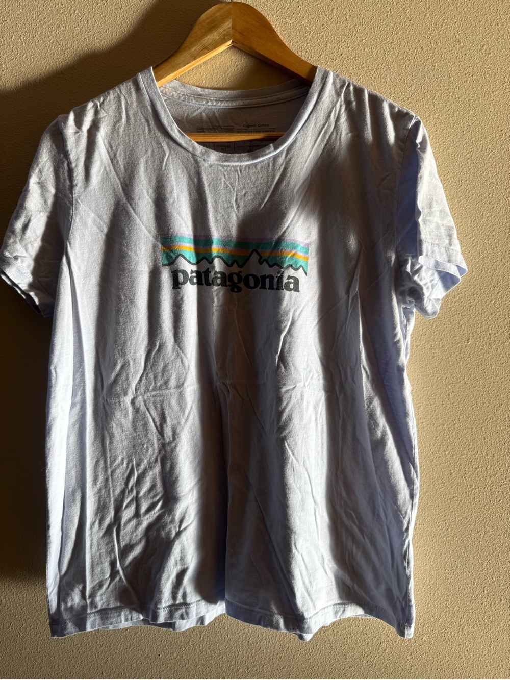 Patagonia Light Blue Short Sleeve Logo Tee with Multicolor Stripe